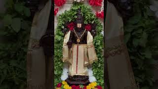 SRI VENKATESWARA SWAMY POOJA 🙏🙏 02112024 [upl. by Yltnerb765]