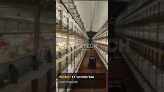 Philippine 80K birds broiler chicken farm commercial business  RETECH Farming [upl. by Amsirak]