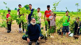 Big Garden Laga Diya  Mix Fruits Plant Garden  Cost Of 1 Acar Garden  Mubarak Ali Tour And Taste [upl. by Cirle]