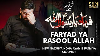 Faryad Ya Rasool Allah saw  Mir Hasan Mir Ayam e Fatmiya Noha 2022  New Nohay 2021 [upl. by Oiluig]