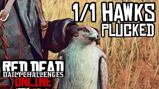 Daily Challenges  11 Hawks Plucked  Hawk Location  RDR2 Online [upl. by Yelac]