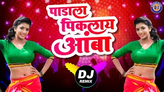 Padala Piklay Amba  Marathi DJ Lavani  Trending Mix  Electronic Halgi Mix  Remix Marathi Song [upl. by Kirbee]