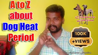 நாய் பருவத்துக்கு வருதல் இனப்பெருக்கம் பற்றிய தகவல்  AZ about Dog Heat amp Breeding Dos amp Donts [upl. by Alfonzo]