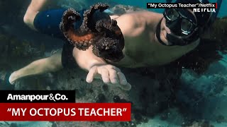 OscarWinner quotMy Octopus Teacherquot Explores Unique HumanOctopus Friendship  Amanpour and Company [upl. by Elum]