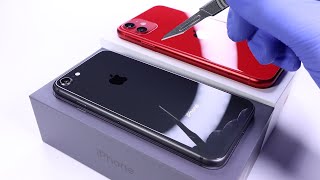 iPhone 8 vs iPhone 11  Unboxing ASMR [upl. by Euqininod854]