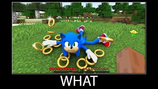 Minecraft wait what meme part 310 realistic minecraft Sonic [upl. by Korenblat]