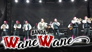 Banda Wane Wane Popurri de Exitos  desde León Guzman Dgo [upl. by Cranford]