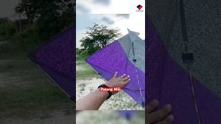 Patang mili🤩  Gaurav Kite Lover kiteflying caughtkite kite [upl. by Ozan36]