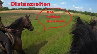 Abenteuer Distanzreiten  was muss ich wissen Reiten Endurance Riding  wir testen eine Strecke [upl. by Nirtiak]