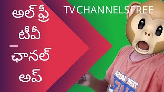 how to watch live tv channels free in Telugu all languages and world all tv channels live [upl. by Eerihs78]