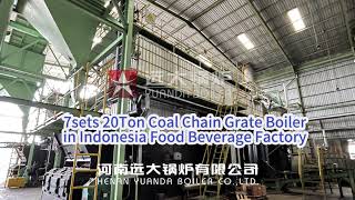 20Ton Coal Steam Boiler Chain Grate Boiler Indonesia [upl. by Haerr]