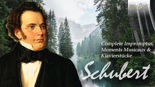 Schubert Complete Impromptus Moments Musicaux amp Klavierstücke [upl. by Wrand296]