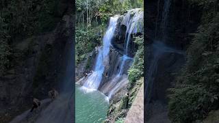 Gozalandia paradise in Puerto Rico waterfall turismo puertorico travel [upl. by Layton]