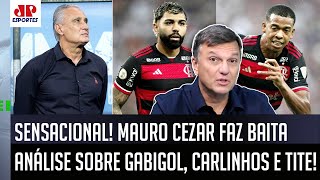 quotNÃO É POSSÍVEL QUE NÃO PERCEBAM ISSO Gente o Gabriel Barbosaquot Mauro Cezar ANALISA o Flamengo [upl. by Ynomrah]