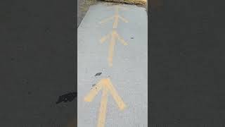 3rd World Ogden Utah America the old USA Shooter Ramp AKA sidewalk [upl. by Ambur262]