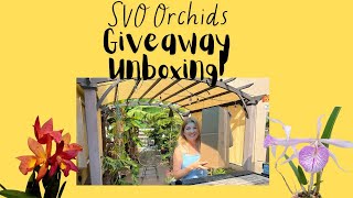 Unboxing My Prize Orchids from SVO 🌿  Contest Wins amp First Impressions [upl. by Anaillil]