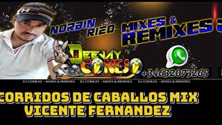 CORRIDOS DE CABALLOS MIX CONEJO DJ MIXES VICENTEFERNANDEZ [upl. by Barbette]