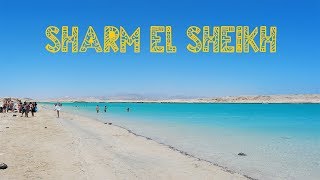 Viaggio in Egitto  Sharm El Sheikh [upl. by Airom]