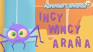 Incy Wincy Araña  Canciones Infantiles de Aprender Cantando [upl. by Aisatnaf]