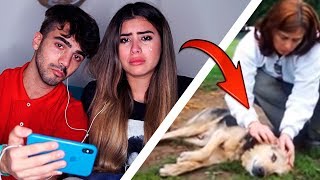 PUEDES VER ESTE VIDEO SIN LLORAR [upl. by Shaylynn]