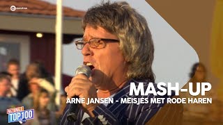 MASHUP Arne Jansen  Meisjes met rode haren  Nationale Top 100 [upl. by Fanya]