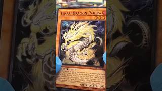 Legacy of Destruction TENPAI DRAGON YuGiOh tcg yugioh shorts [upl. by Finstad777]