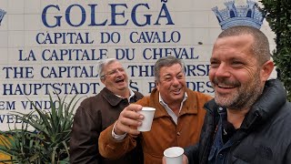 Golegã Horse Fair  Feira da Golegã 2023 🐎 PORTUGAL FARM LIFE [upl. by Llebana]