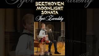 Beethoven – Moonlight Sonata 66 zavadsky accordion pianosonata beethoven moonlightsonata [upl. by Callista]