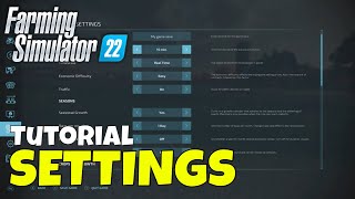 Farming Simulator 22 Settings Explained [upl. by Sauer34]