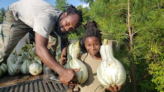 Come Harvest Cushaw Squash with Us [upl. by Harwell]