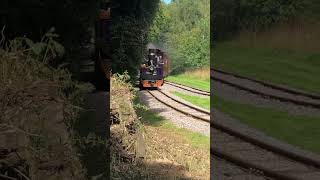 French decauville on Richmond valley light railway [upl. by Acsot683]