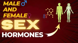 Male and Female Sex Hormones  BY MITESH SIR [upl. by Atalaya]