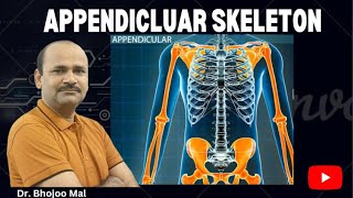 Appendicular skeleton  Class 12 Biology  by Dr Bhojoo Mal [upl. by Eenobe801]