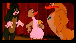 Tom amp Jerry  Best of Little Quacker  Classic Cartoon Compilation  Wbkidscartoonsbn3ix [upl. by Linad662]