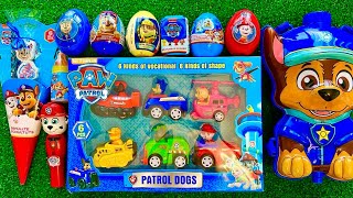 Unboxing Paw Patrol Toys  Mighty Pups  ASMR NO TALKING  ENJOY [upl. by Sefton45]