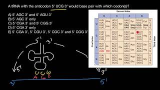 Codon and anticodon [upl. by Sadoff775]