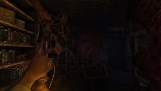 Amnesia Escape DEMO Full Walkthrough Czech Version [upl. by Nama]