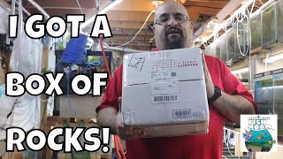 LIVE FISH ROOM UNBOXING I GOT A BOX OF ROCKS [upl. by Mudenihc664]