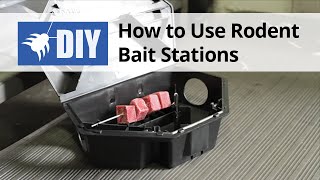 How to Use Rodent Bait Stations [upl. by Irrej]