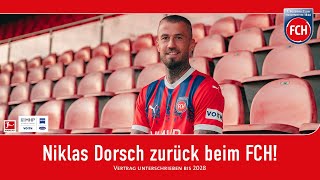 Niklas Dorsch zurück beim FCH [upl. by Notlok]