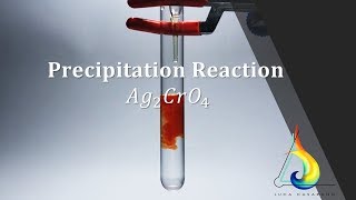 STECHIOMETRIA  Precipitazione del Cromato di argento Ag2CrO4  Educ  FullHD [upl. by Kellyann]