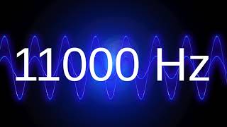 11000 Hz clean pure sine wave TEST TONE 11 khz frequency [upl. by Gintz185]