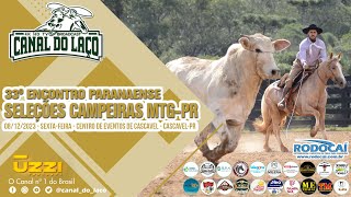 33º Encontro Paranaense de Seleções Campeiras MTG PR  Cascavel  PR [upl. by Ignace738]