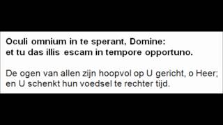 Oculi omnium Witte Donderdag  Sacramentsdag Graduale [upl. by Sethrida186]