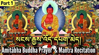 ☸Amitabha Buddha Prayer And Mantra RecitationPart 1སངས་རྒྱས་འོད་དཔག་མེདSadhana Prayer Practice [upl. by Bigford]