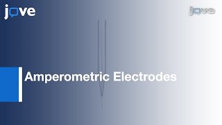 Fabrication Of Amperometric Electrodes l Protocol Preview [upl. by Schroeder855]