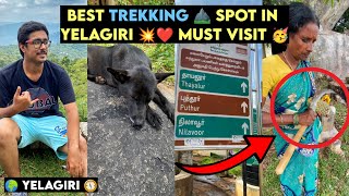 Yelagiri le Ipadi oru Trekking Spot ah 🍻🎉🥳  Swamimalai Hils  Peppa Foodie [upl. by Eniamrahs]