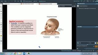 Posterior Triangle of Neck amp Sternomastoid Muscle  Dr Ahmed Farid [upl. by Jaeger936]