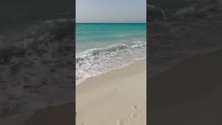 Relaxing Waves Sound  Saadiyat Beach Abu Dhabi shorts waves beach [upl. by Furr]