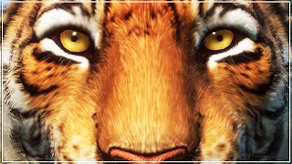 TOP 100 Most Popular Animals in Planet Zoo [upl. by Ardnasak]